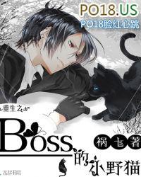 重生之boss的小野猫免费阅读