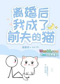 离婚后我成了前夫的猫完结