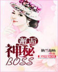 邂逅神秘boss 免费