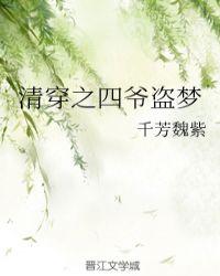 清穿之四爷盗梦免费全文阅读