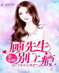 第一宠婚顾先生别上瘾epub