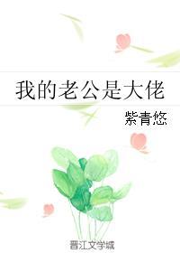 我的老公是大佬全集