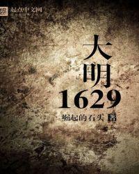 大明1629百度