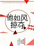 他如风掠夺 流兮冉晋江