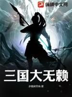 三国大无赖免费阅读全文