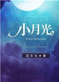 小月光昼川主要讲的什么