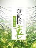 奈何情衷by沐声简介