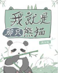 我就是那只熊猫晋江
