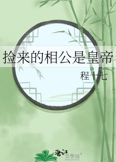 捡来的相公txt