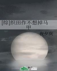 织田作不想掉马甲作者夜夕岚