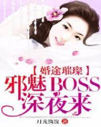 婚途璀璨邪魅boss深夜来全文免费阅读