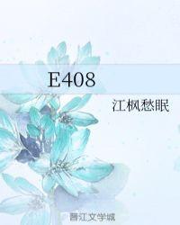 e408有几对cp