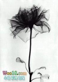 黑色的蔷薇花语