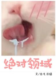 绝对领域出自哪里