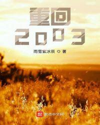 重回2003年免费全文