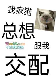 猫总想和我一起睡