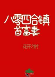 八零四合镇首富妻格格党