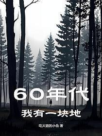 60年代我有一块地严三