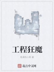 工程师的狂想曲在线看