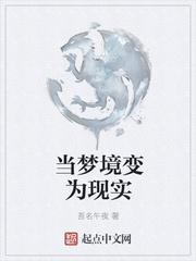 海贼忍村降临