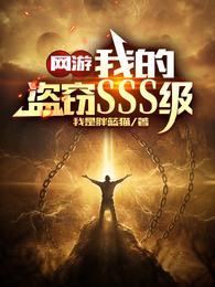 网游我的盗窃sss级全文阅读