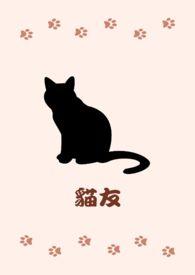 猫发了情怎么快速解决