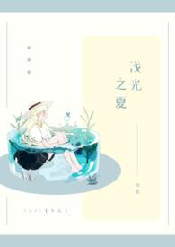 流光之夏电视剧