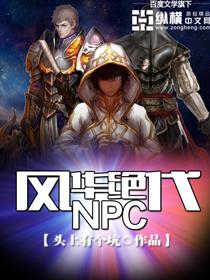 风华绝代NPC